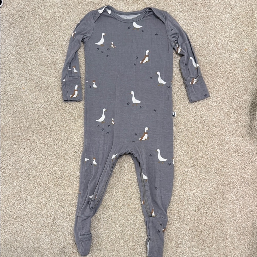 Gunamuna Sleeper